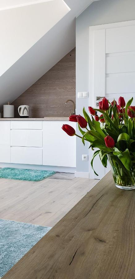 Appartement Jas I Malgosia à Władysławowo Extérieur photo